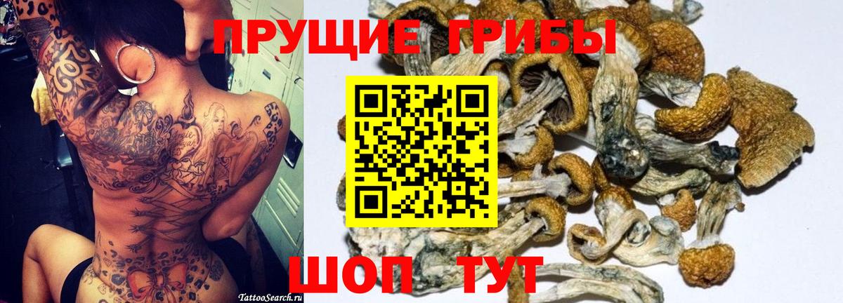 Омск  цены наркотик  Вход с VPN  Псилоцибиновые грибы Psilocybine cubensis  Псилоцибиновые грибы Cubensis 