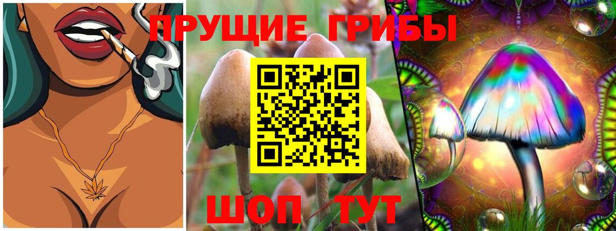 Псилоцибиновые грибы мухоморы Омск